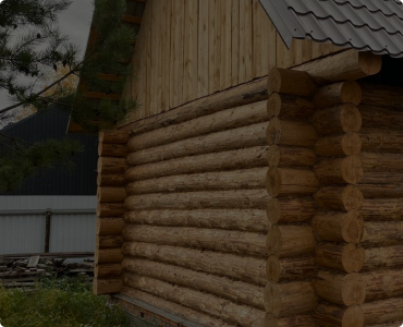 Дома из бревен